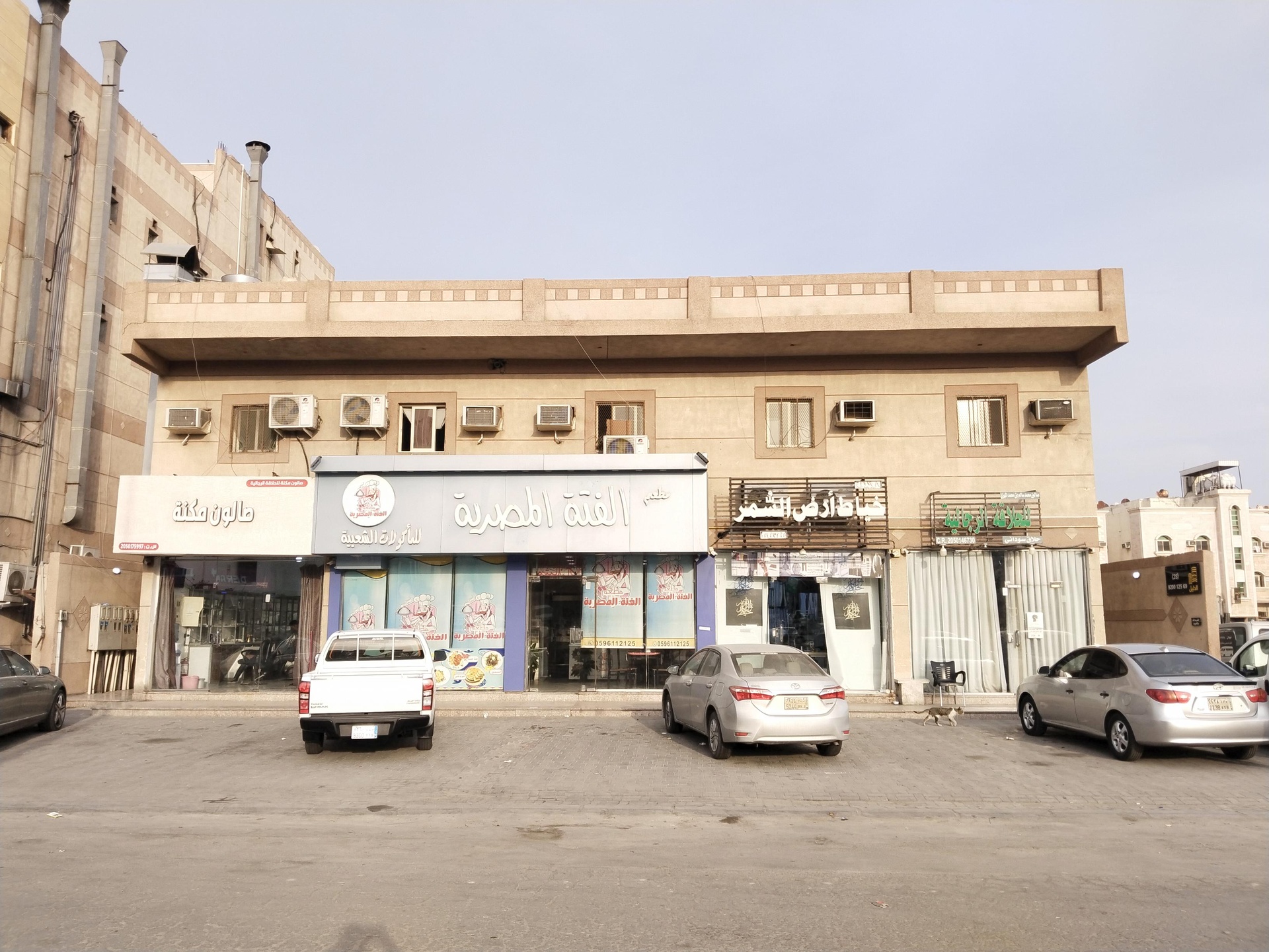 الصورة الرئيسية